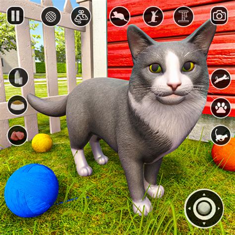 Cat Games .